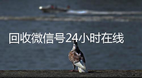 回收微信号24小vx回收秒结时在线秒结（回收微信号平台官网）