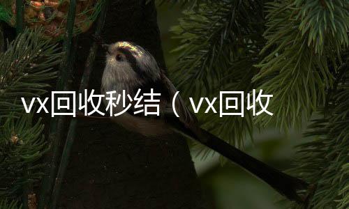 vx回收秒结在线回收微信秒结（vx回收秒结500）